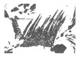 1740971555206532.png