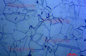 奥氏体不锈钢金相分析