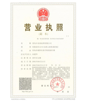 丰东营业执照副本