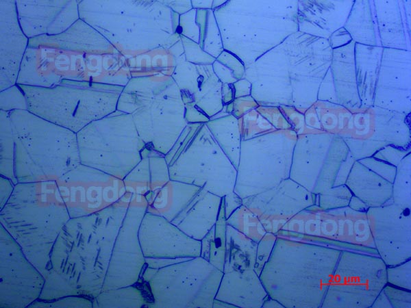 奥氏体不锈钢500倍-金相分析