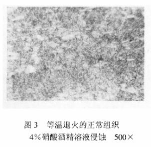 等温退火的正常金相组织