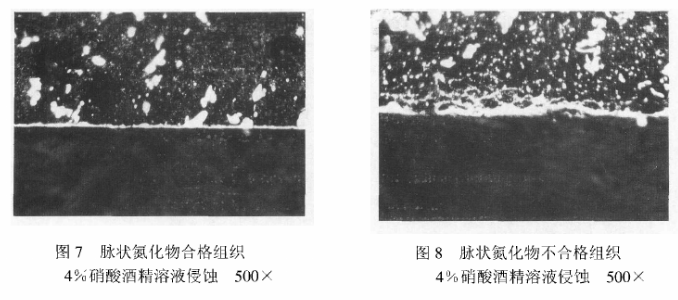 脉状氮化物组织图片