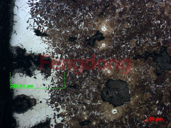 裂纹附近表面显微组织  100×